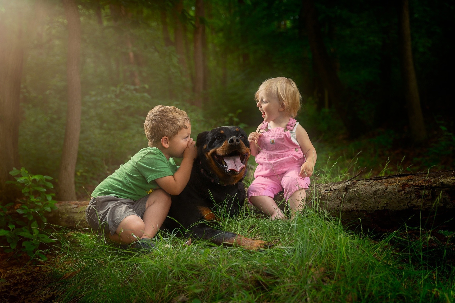Rottweiler dog and two children outdoor portrait